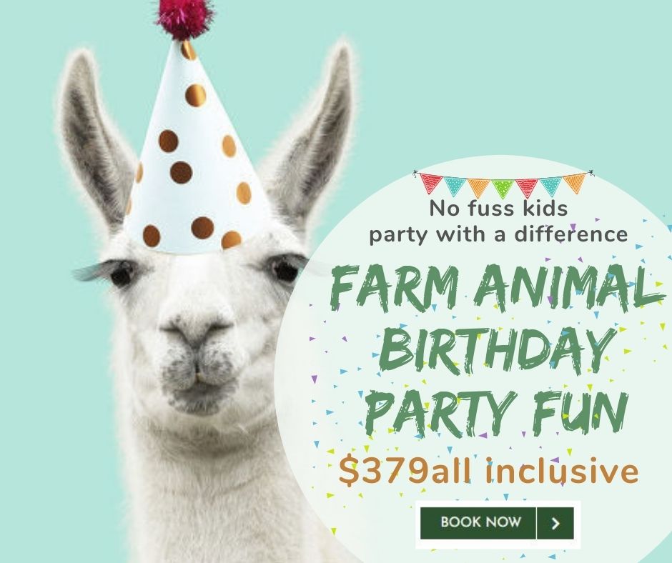 party web page image