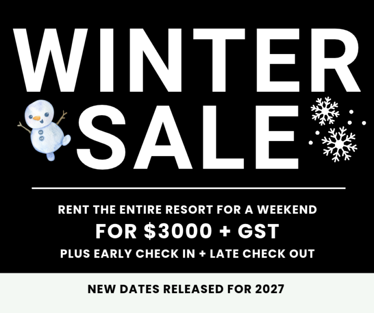 winter sale 2027